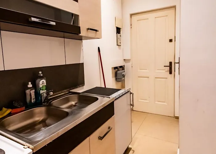 Family Studio- 7 Minutes To Schoenbrunn Palace * וינה