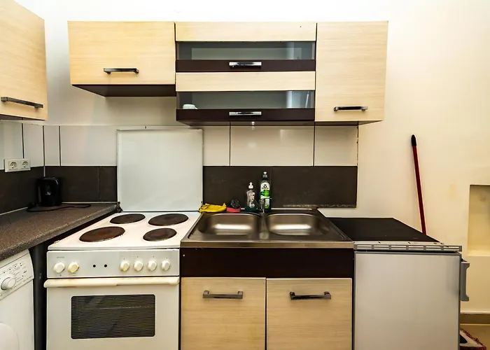Family Studio- 7 Minutes To Schoenbrunn Palace מלון דירות